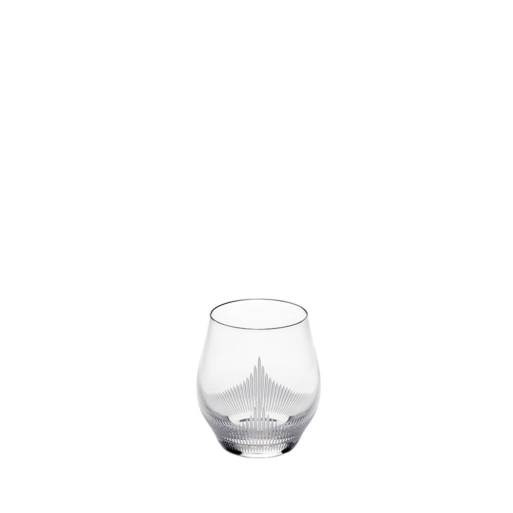 SMALL TUMBLER | 100 POINTS