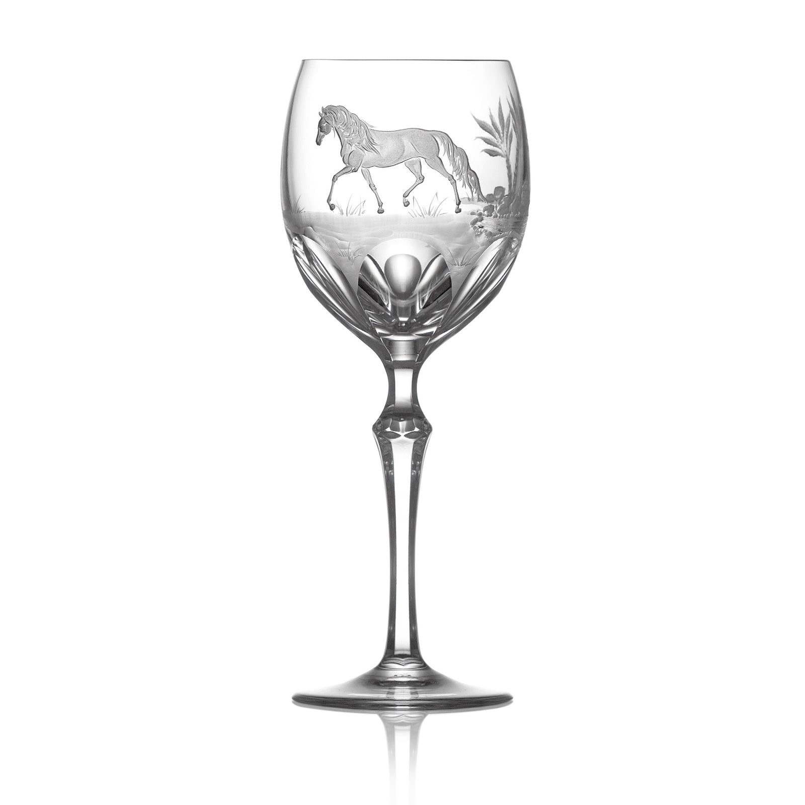 Clear Wine | Orbi | Horse