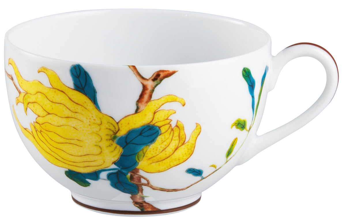 Tea cup extra and saucer - White with gold rim | Harmonia