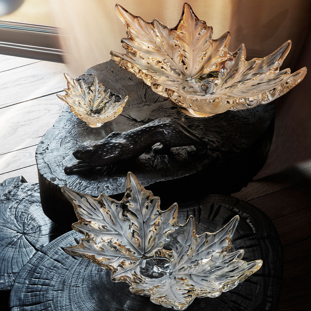 BOWL LS GOLD LUSTER | Champs Élysées