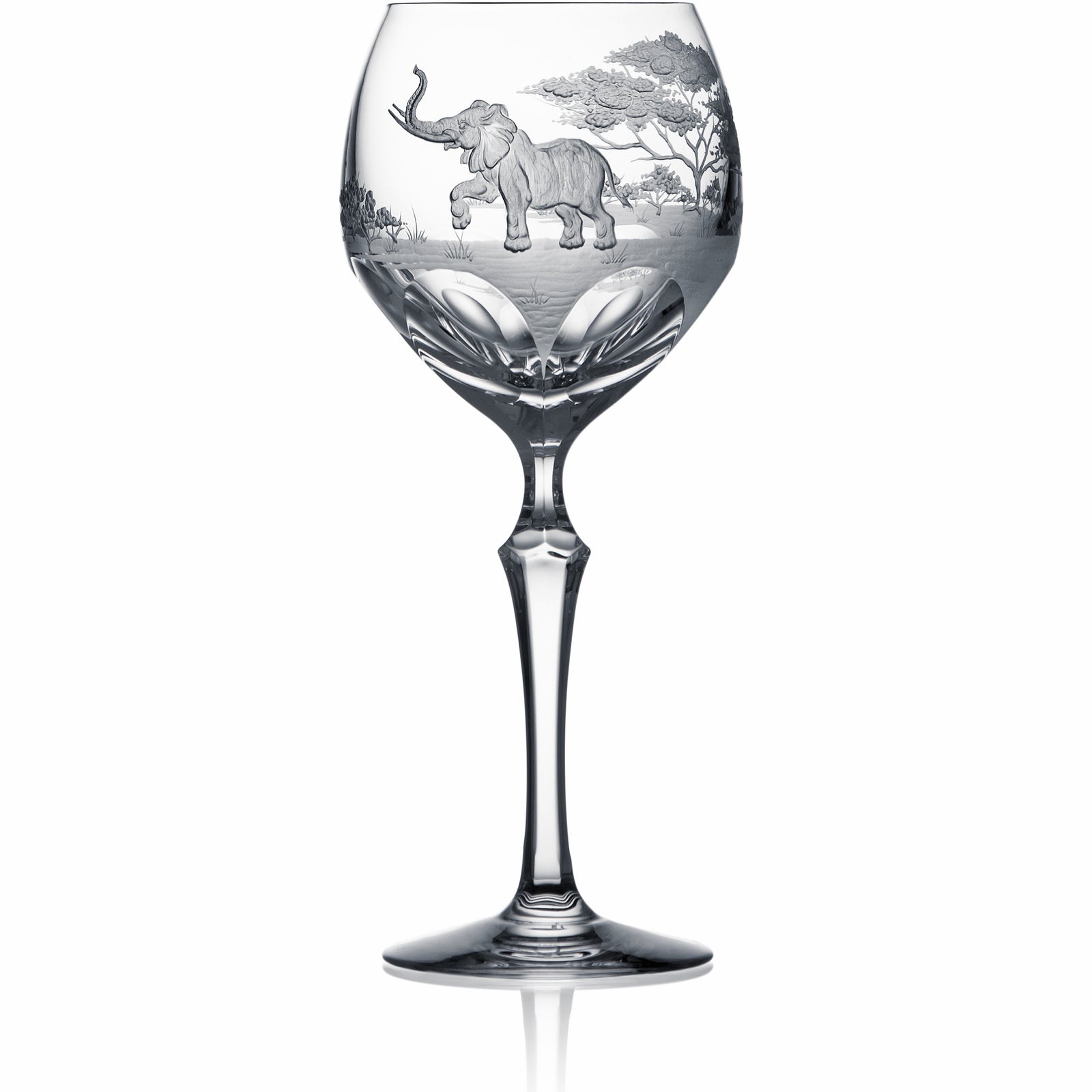 Clear Water | Hock | Safari