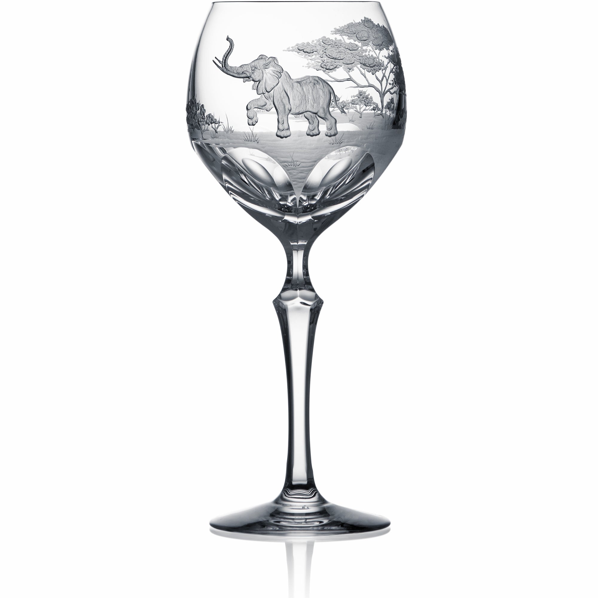 Clear Water | Hock | Safari