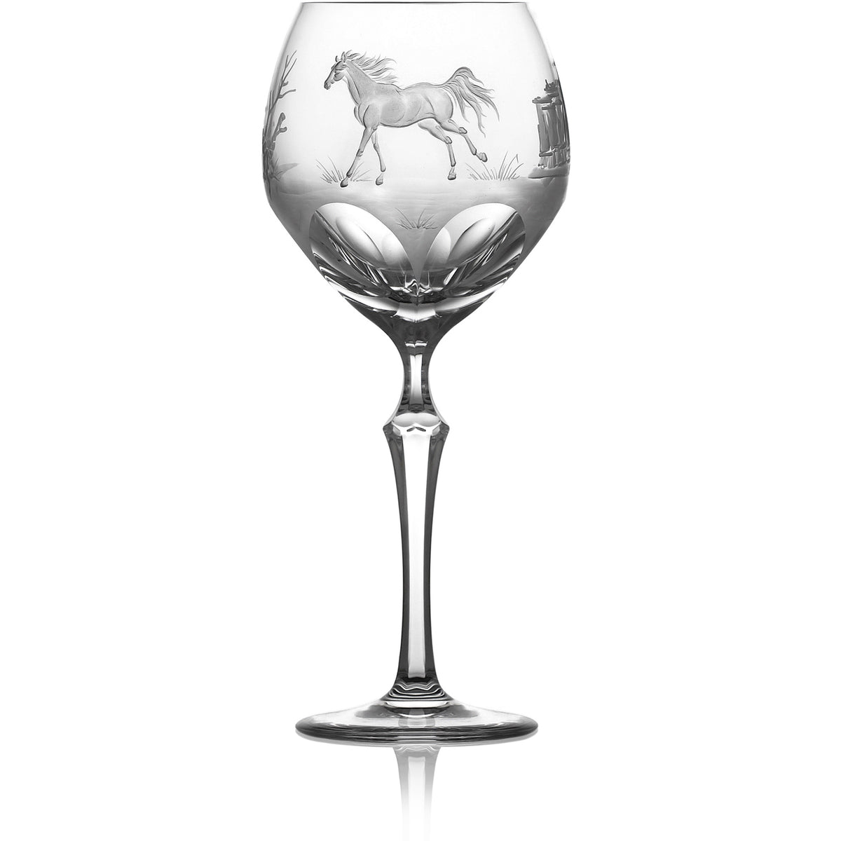 Clear water | orbi | Horse