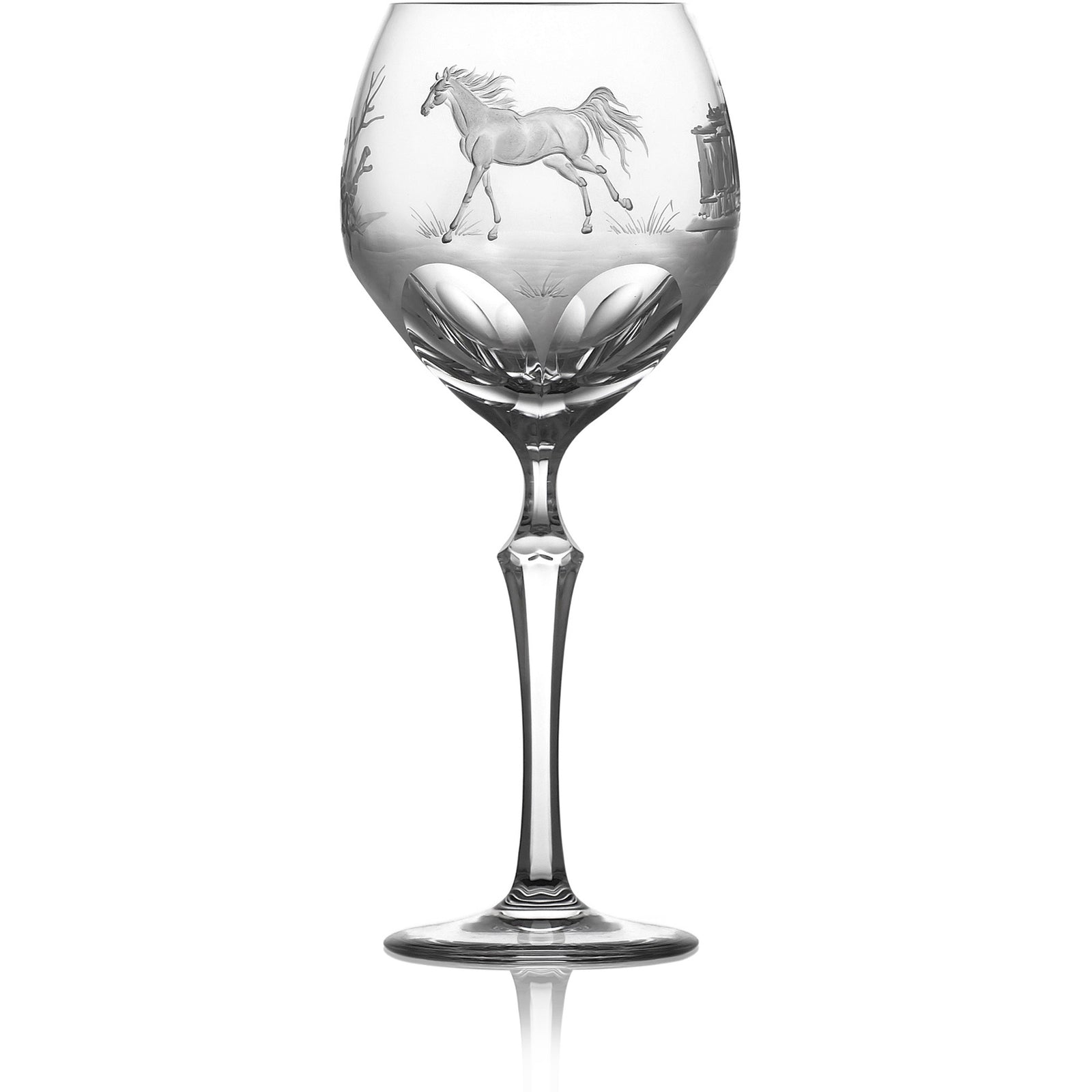 Clear water | orbi | Horse