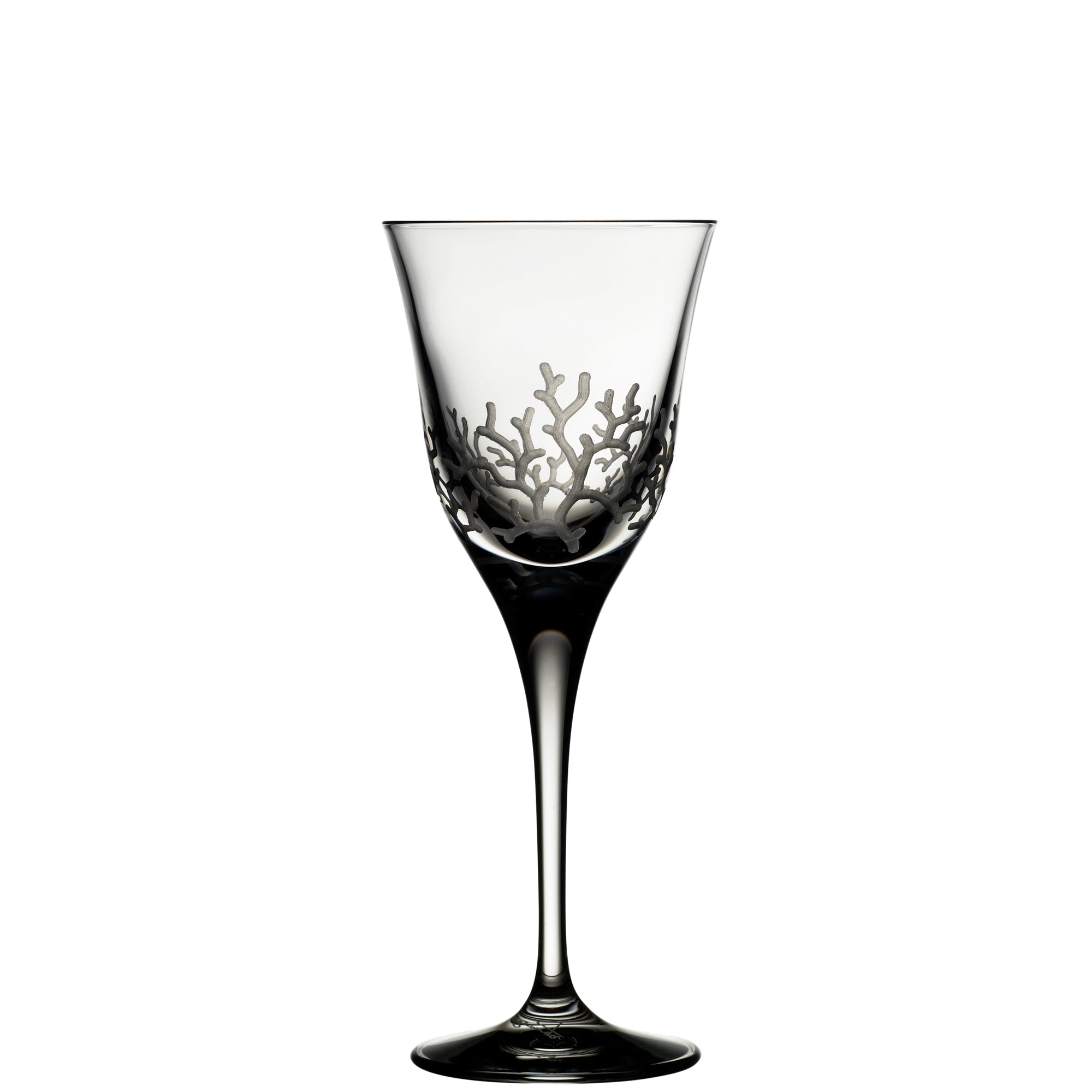 Clear Cordial Glass | Coral